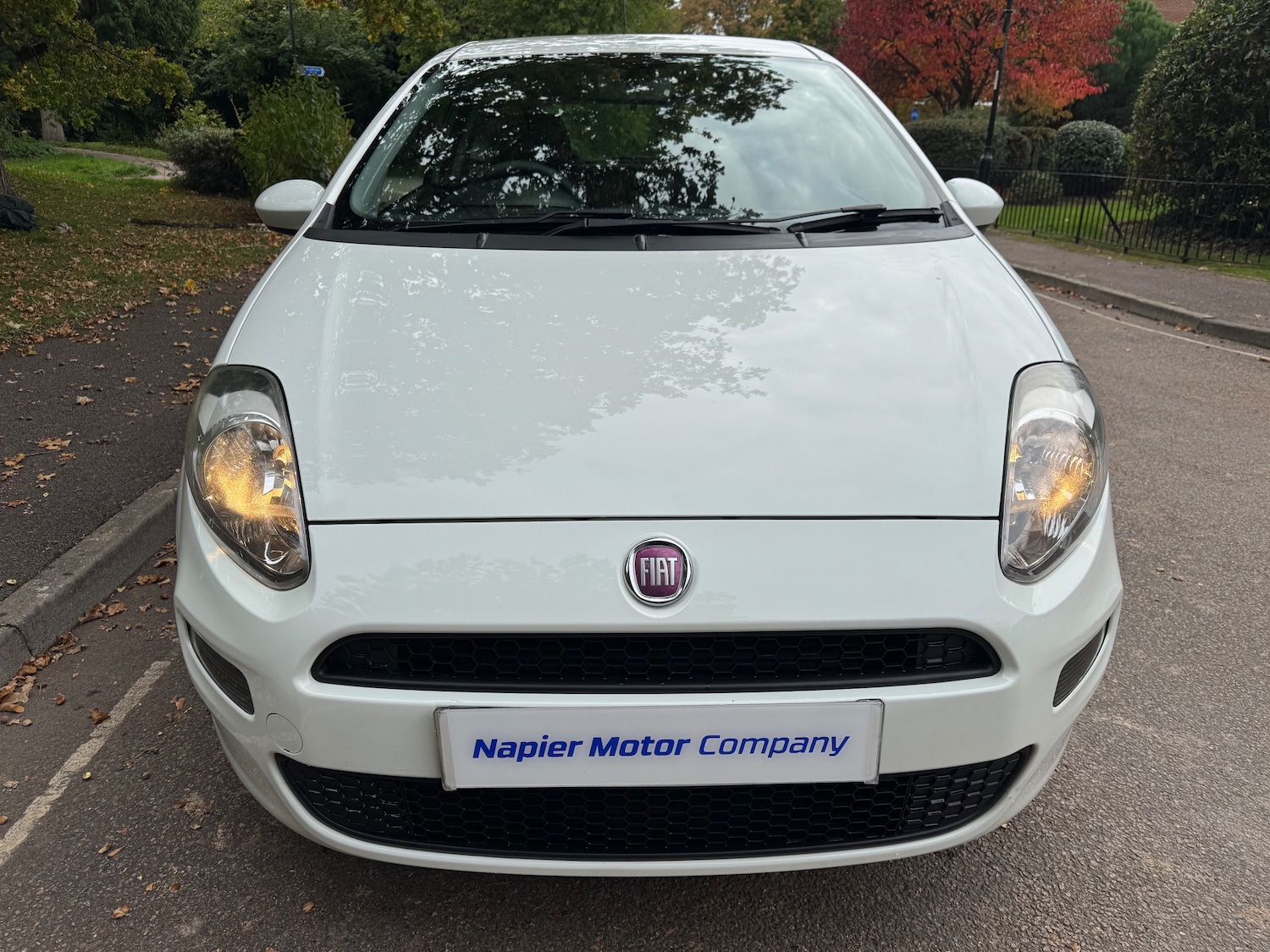 Used Fiat Punto 2014 for sale - 76287959: Photo 2
