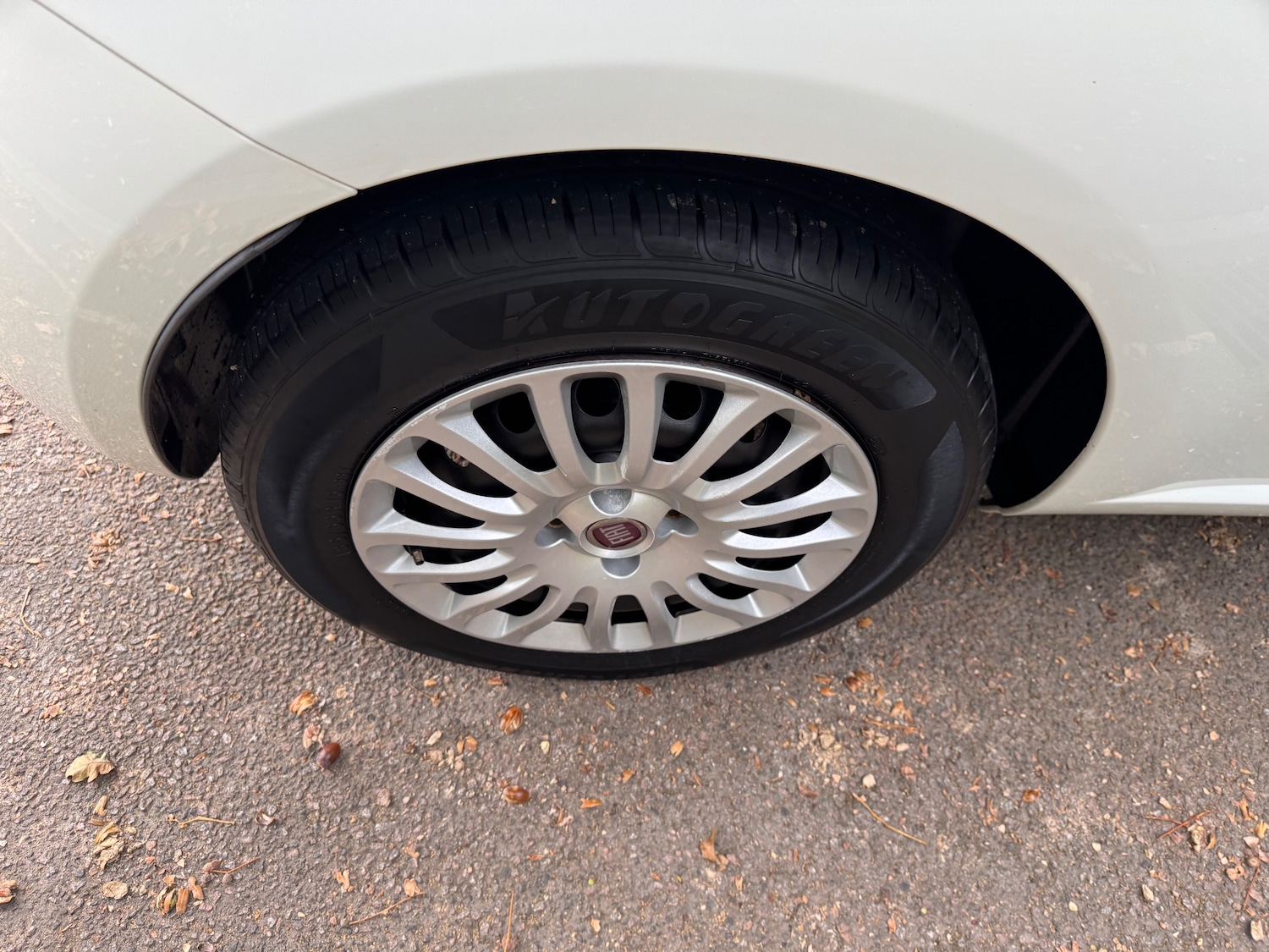 Used Fiat Punto 2014 for sale - 76287959: Photo 22