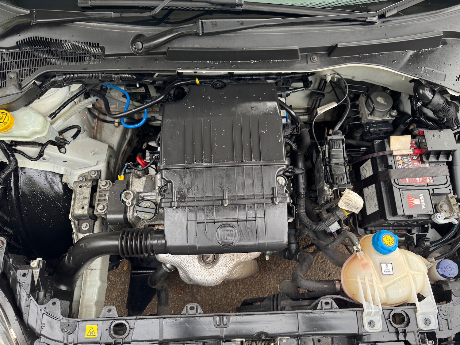 Used Fiat Punto 2014 for sale - 76287959: Photo 30