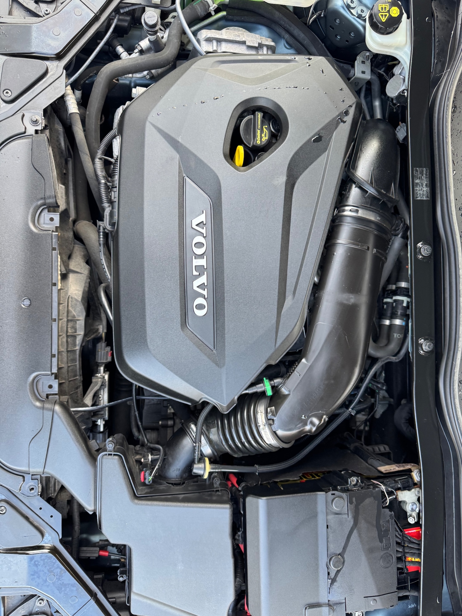 Used Volvo V40 2025 for sale - 77226117: Photo 37