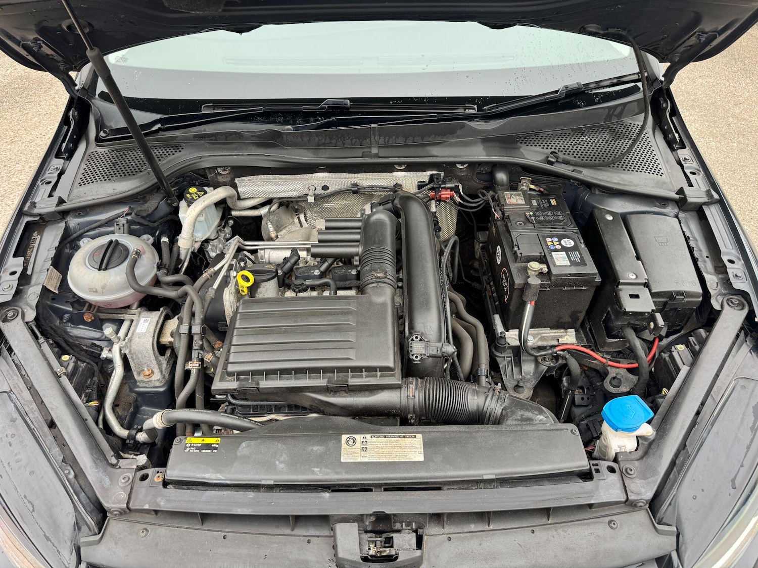 Used Volkswagen Golf 2017 for sale - 77779479: Photo 28