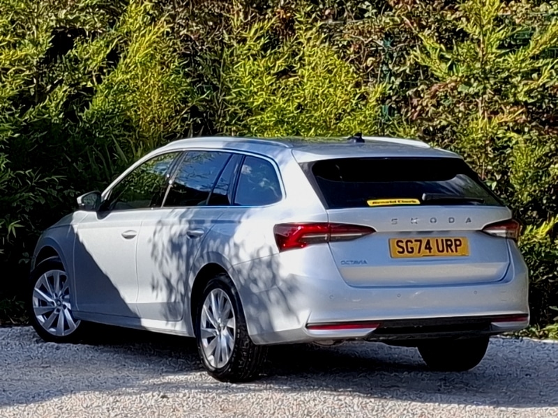 Used Skoda Octavia 2024 for sale - 76087479: Photo 3