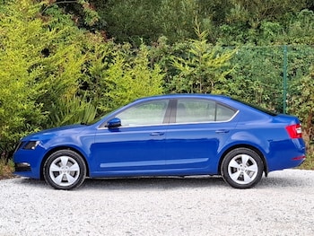 Used Skoda Octavia 2019 for sale - 75562225: Photo
