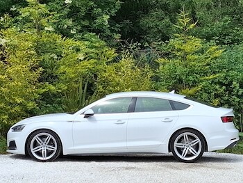 Used Audi A5 2019 for sale - 78778113: Photo