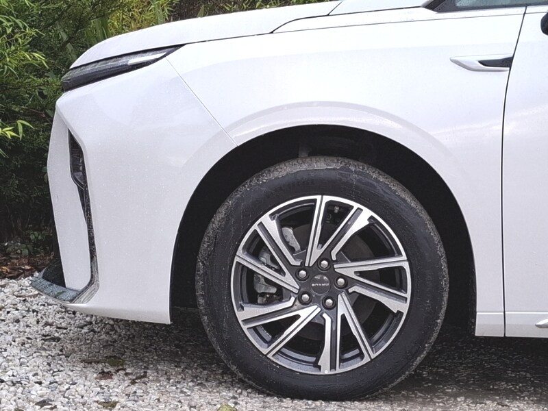 Used Maxus Mifa 9 2025 for sale - 76721507: Photo 13