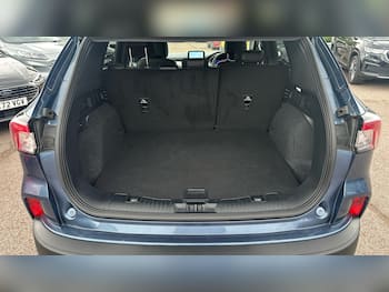Used Ford Kuga 2023 for sale - 79421294: Photo