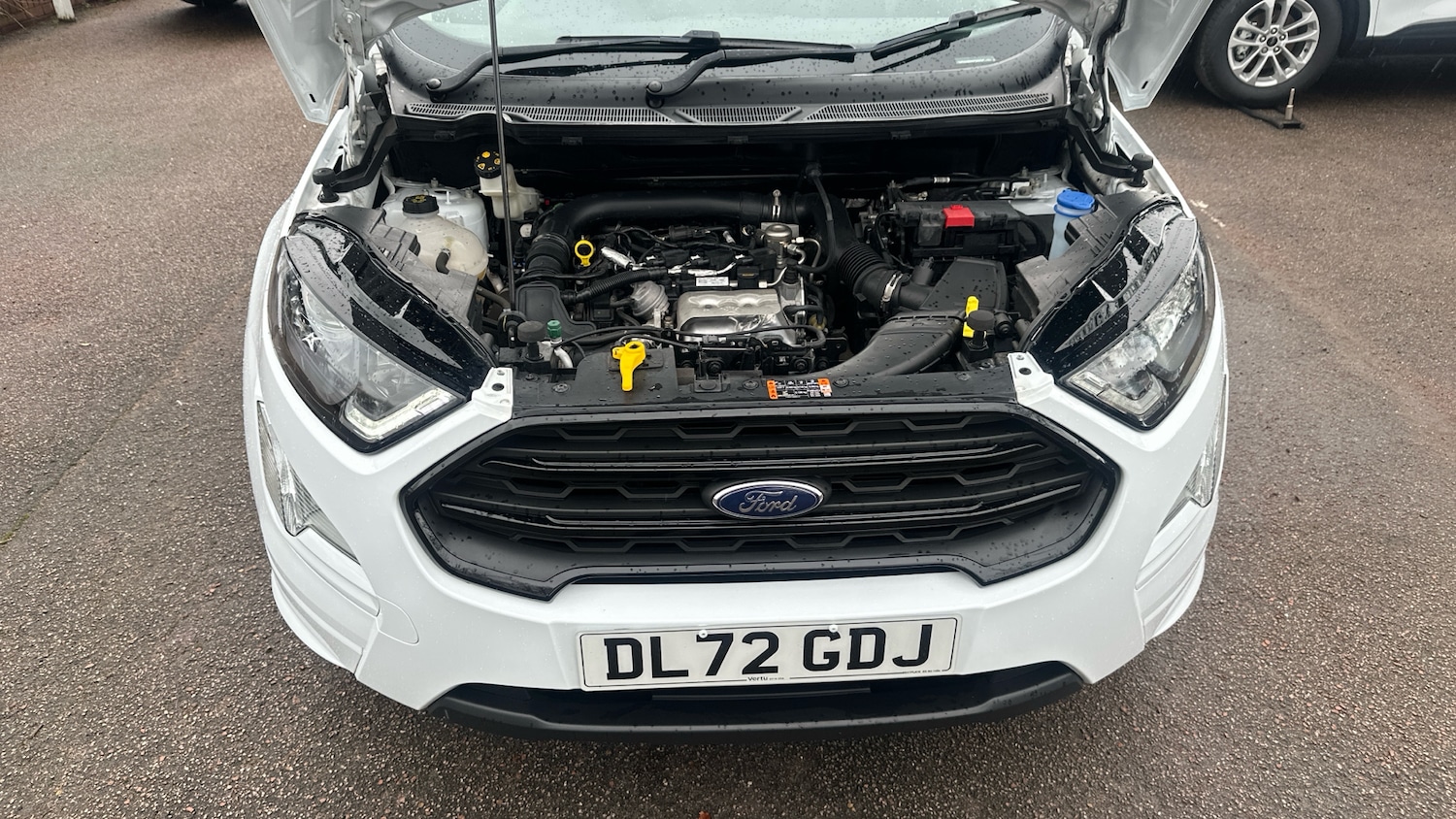 Used Ford Ecosport 2023 for sale - 77635425: Photo 8