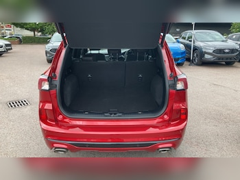 Used Ford Kuga 2023 for sale - 78939350: Photo