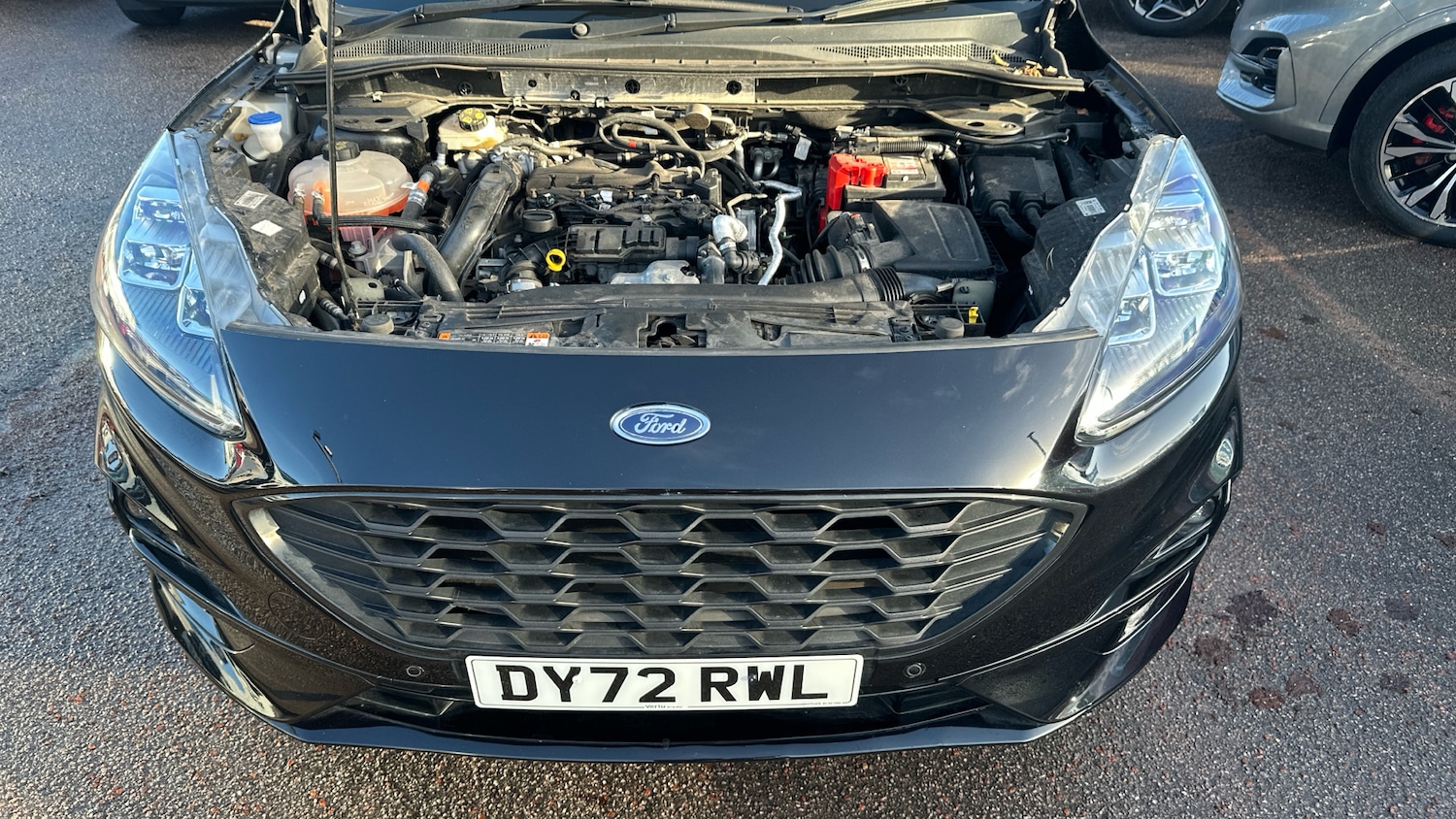 Used Ford Kuga 2022 for sale - 77005847: Photo 8