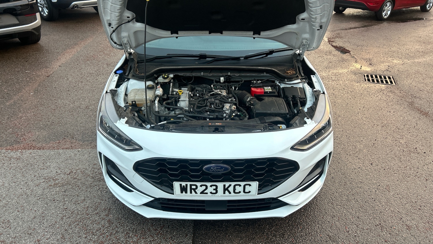 Used Ford Focus 2023 for sale - 76979721: Photo 8