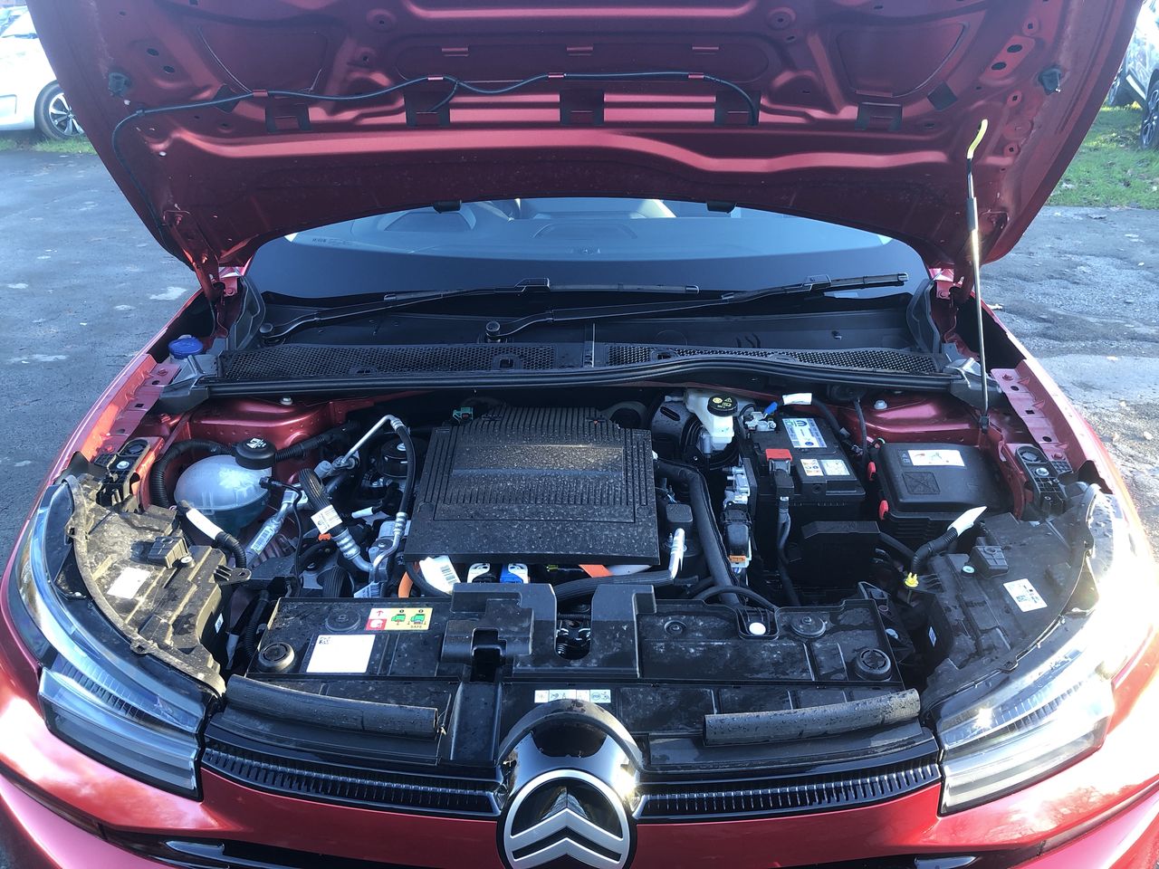 Used Citroen C4 2025 for sale - 77000898: Photo 9