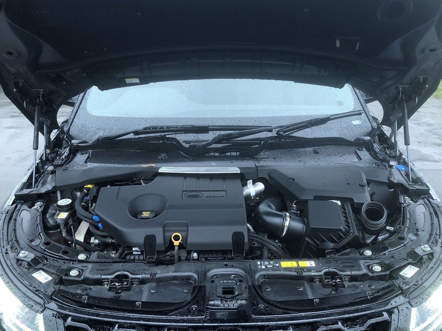 Used Land Rover Range Rover Evoque 2023 for sale - 77282359: Photo 10