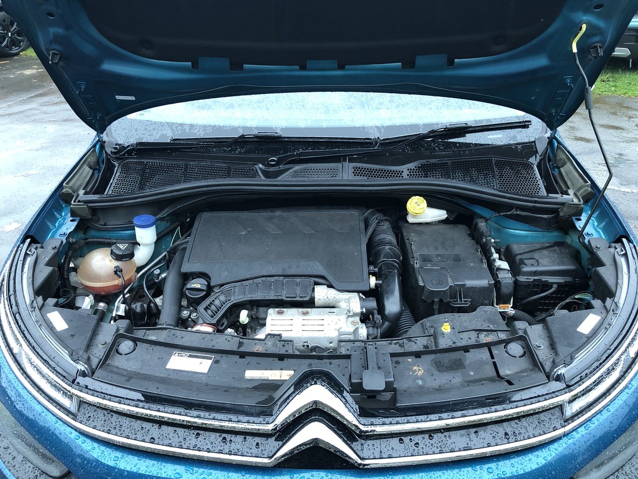 Used Citroen C4 Cactus 2019 for sale - 76541272: Photo 10