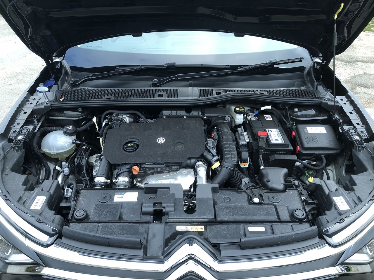 Used Citroen C4 2024 for sale - 77083259: Photo 9