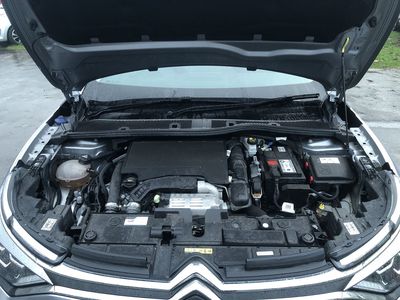 Used Citroen C4 2024 for sale - 77000895: Photo 9