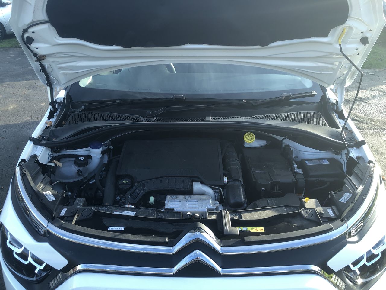 Used Citroen C3 2024 for sale - 77000896: Photo 9