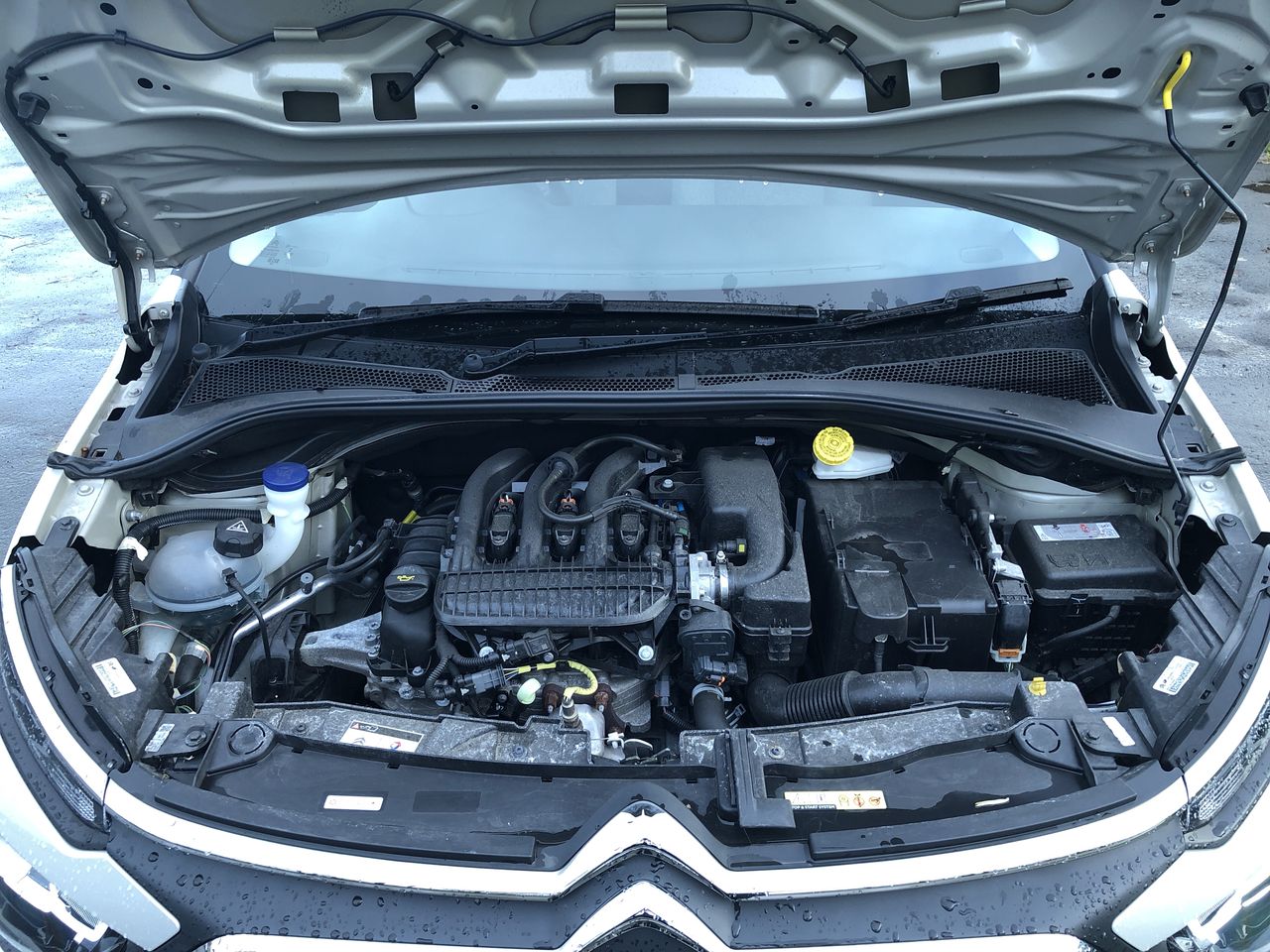 Used Citroen C3 2022 for sale - 76903804: Photo 9