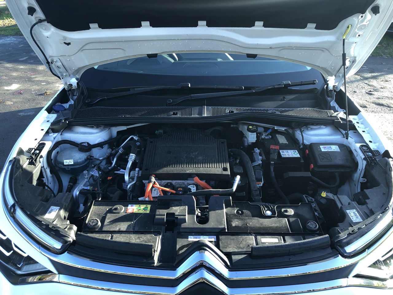 Used Citroen C4 2023 for sale - 77093717: Photo 9