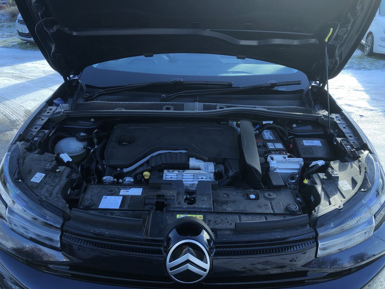 Used Citroen C4 2025 for sale - 77159080: Photo 9