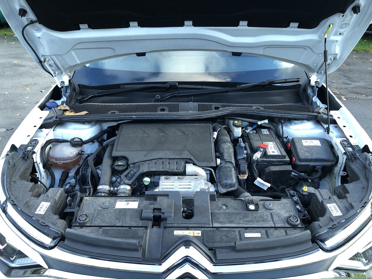 Used Citroen C4 2023 for sale - 76649490: Photo 9