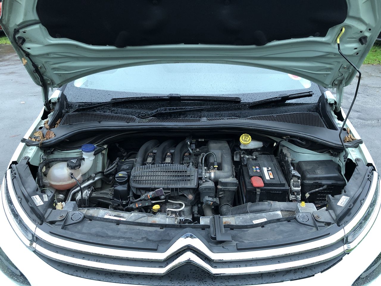 Used Citroen C3 2017 for sale - 76649477: Photo 10