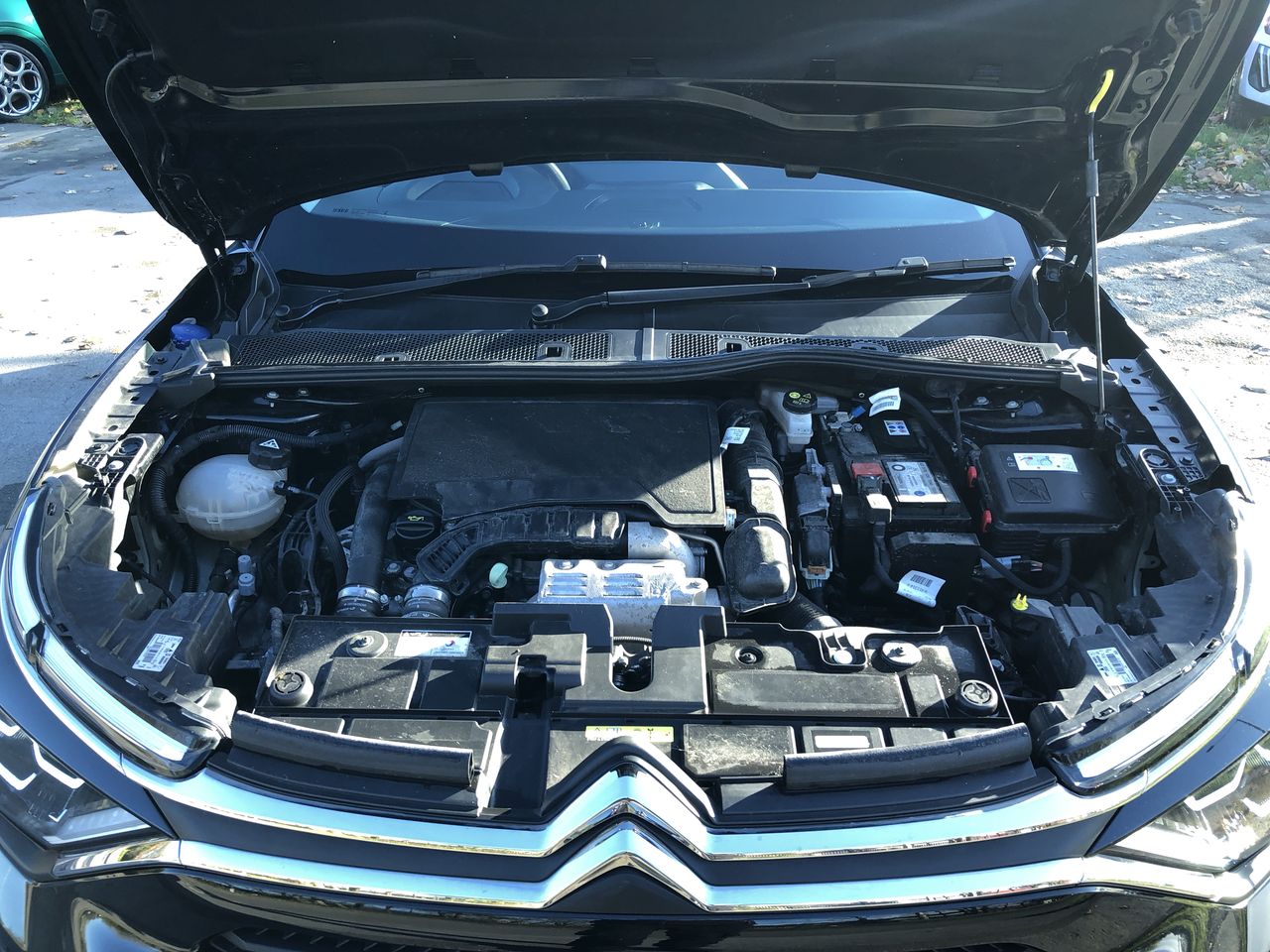 Used Citroen C4 2022 for sale - 76649481: Photo 9