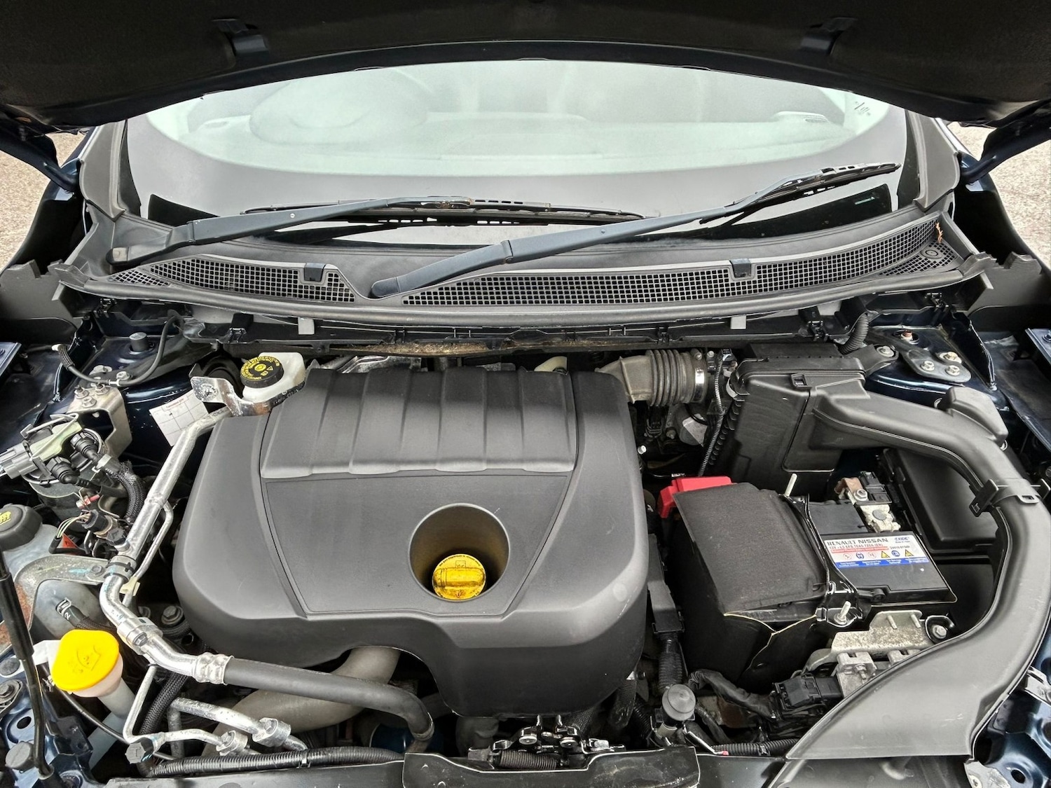 Used Renault Kadjar 2016 for sale - 77792767: Photo 19