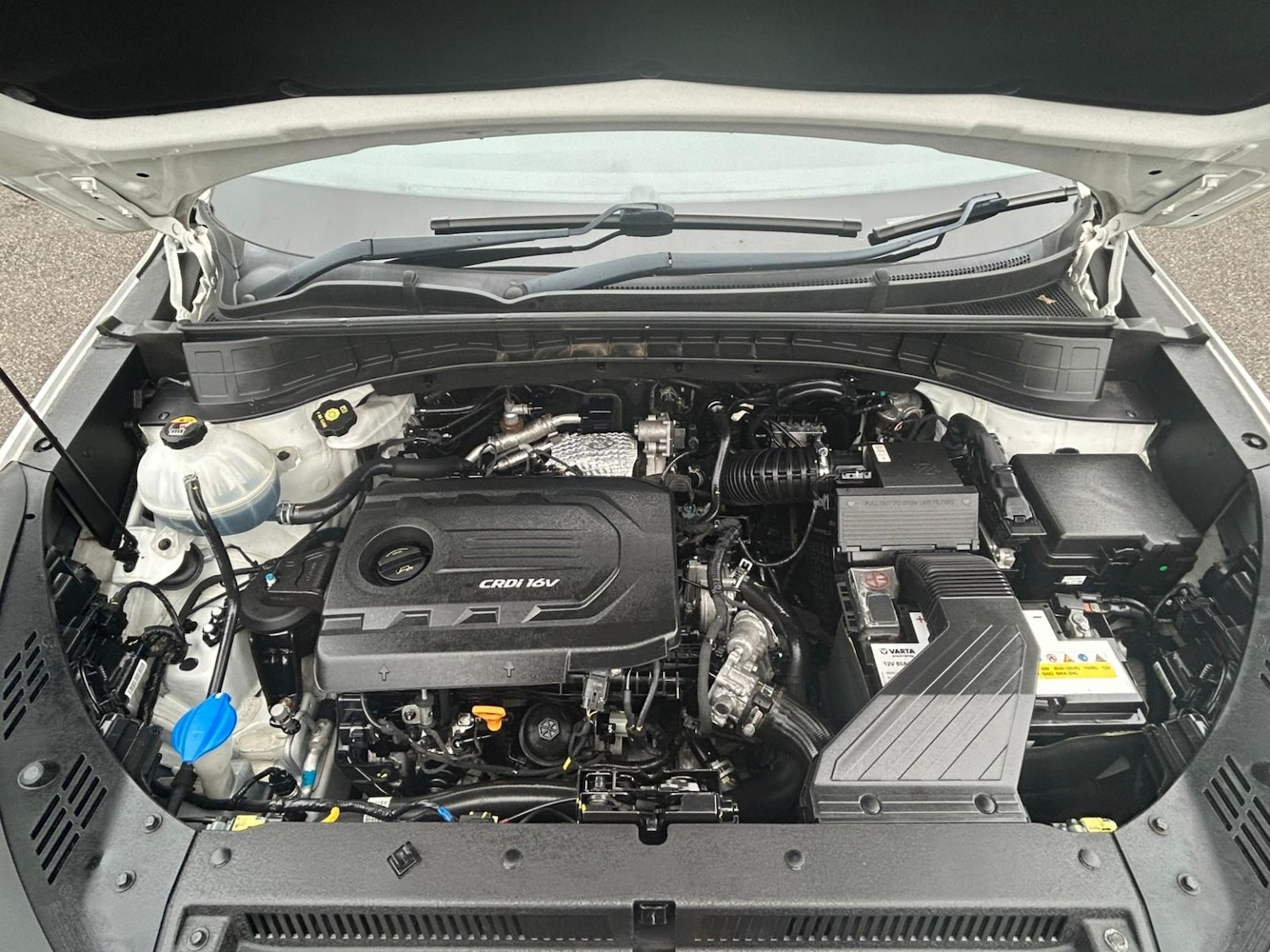 Used Hyundai TUCSON 2017 for sale - 76974295: Photo 21