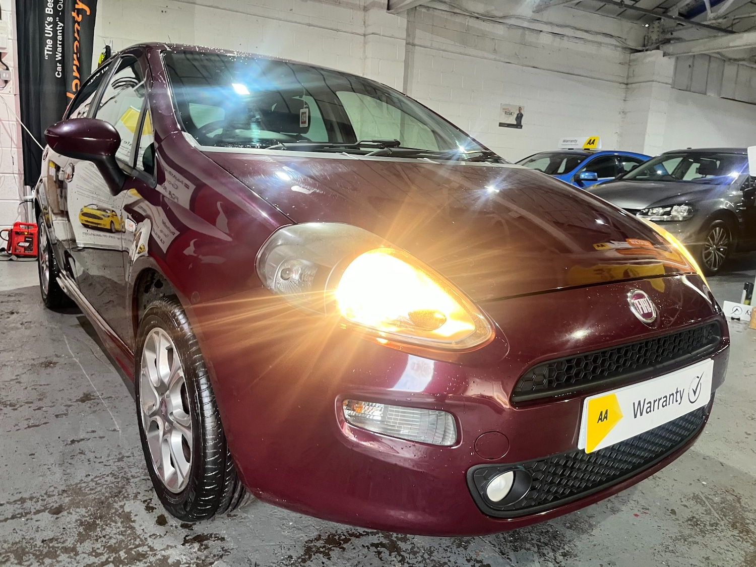 Used Fiat Punto 2013 for sale - 77035748: Photo 10