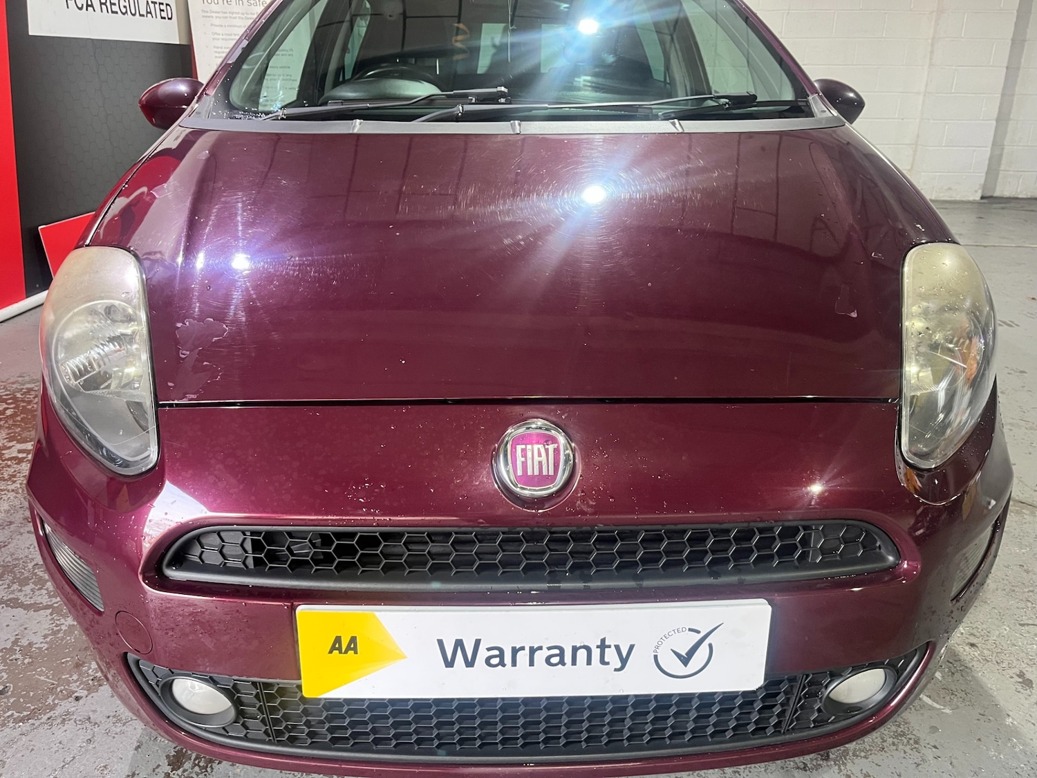 Used Fiat Punto 2013 for sale - 77035748: Photo 5