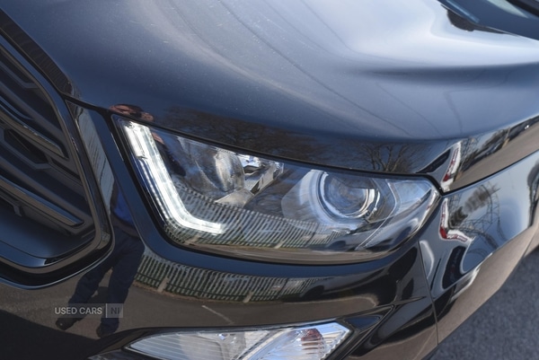 Used Ford Ecosport 2023 for sale - 77971055: Photo 10