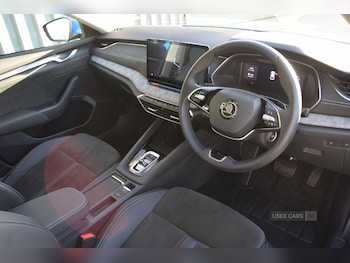 Used Skoda Octavia 2024 for sale - 76825527: Photo