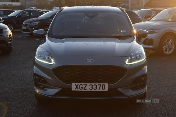 Used Ford Kuga 2022 for sale - 77030186: Photo 5