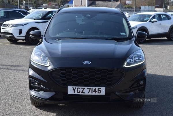 Used Ford Kuga 2023 for sale - 77971053: Photo 5