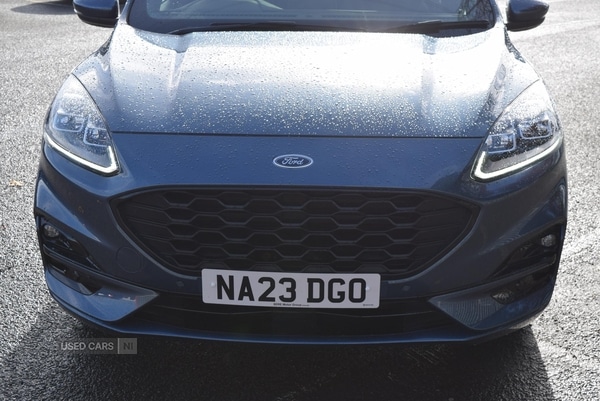 Used Ford Kuga 2023 for sale - 77017269: Photo 8