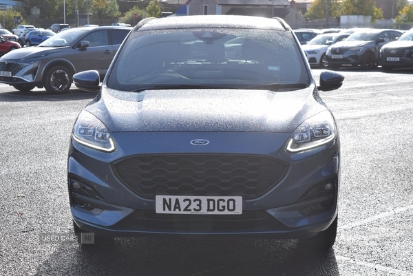 Used Ford Kuga 2023 for sale - 77204231: Photo 5