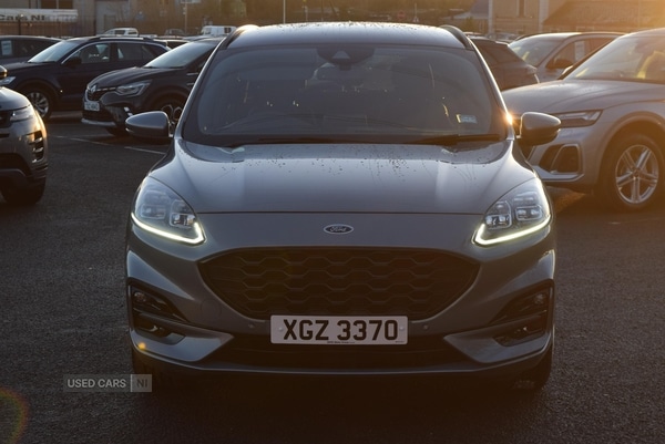 Used Ford Kuga 2022 for sale - 77192291: Photo 5