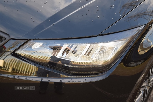 Used SEAT Ibiza 2025 for sale - 77613294: Photo 9