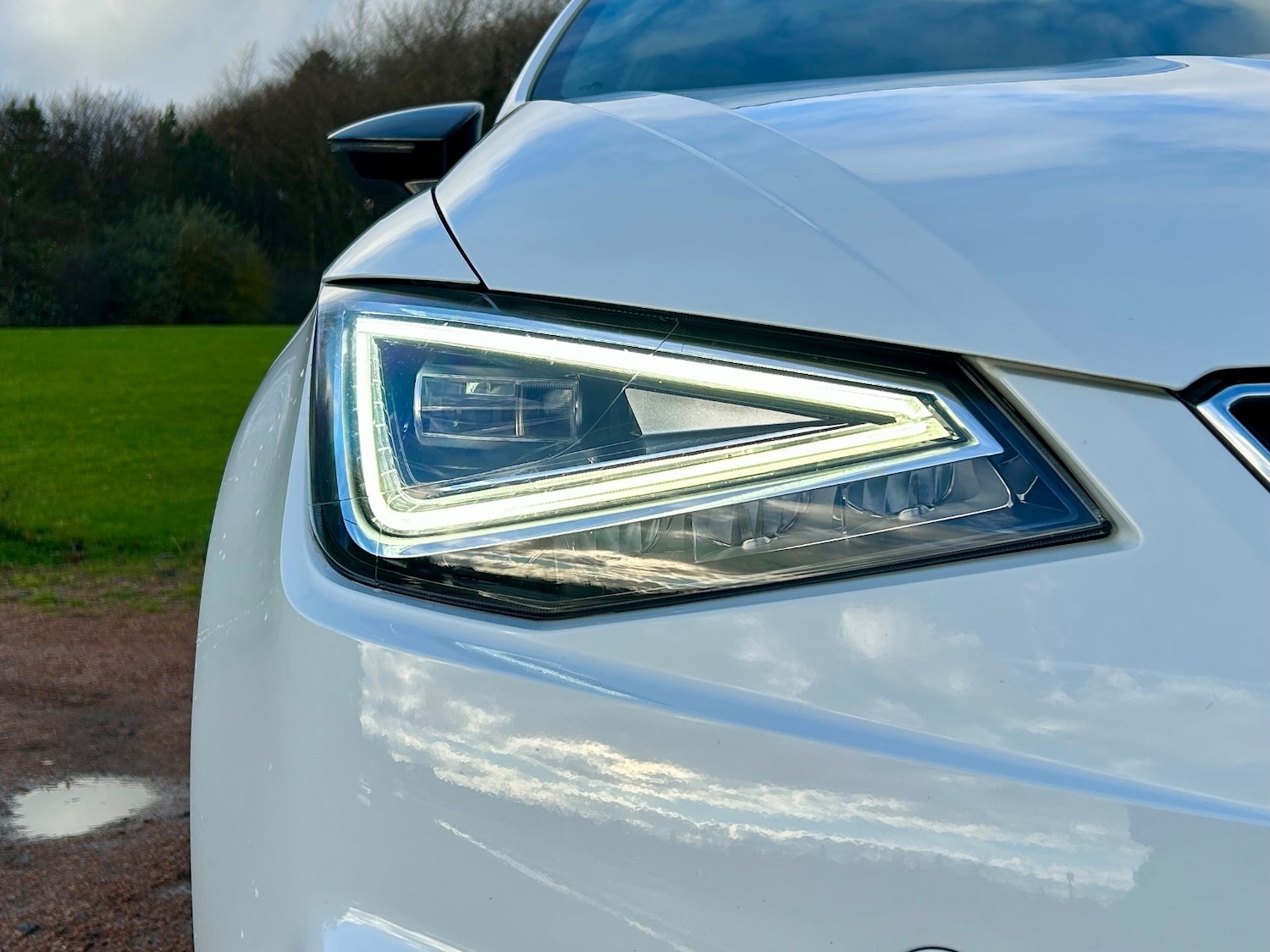 Used SEAT Ibiza 2024 for sale - 76819057: Photo 5