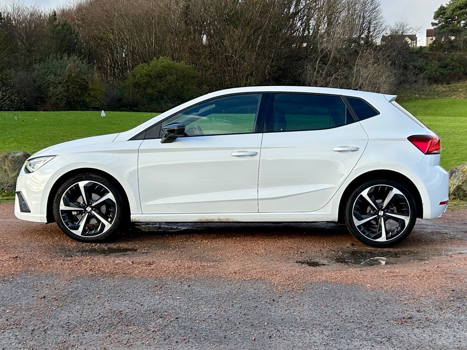 Used SEAT Ibiza 2024 for sale - 76819057: Photo 7