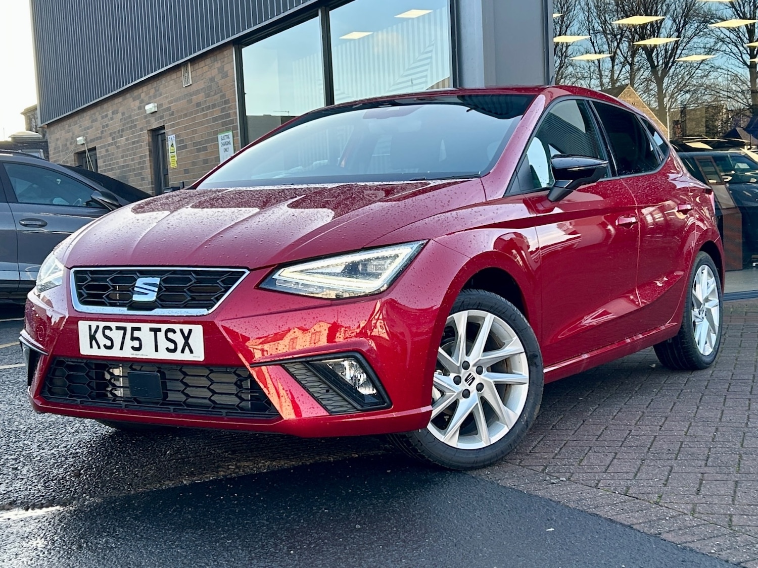 Used SEAT Ibiza 2025 for sale - 77032558: Photo 3