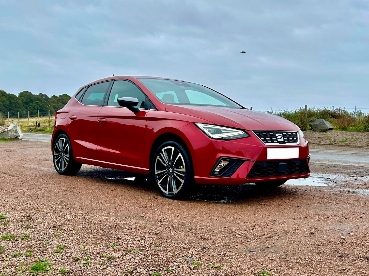 Used SEAT Ibiza 2023 for sale - 76675546: Photo 10