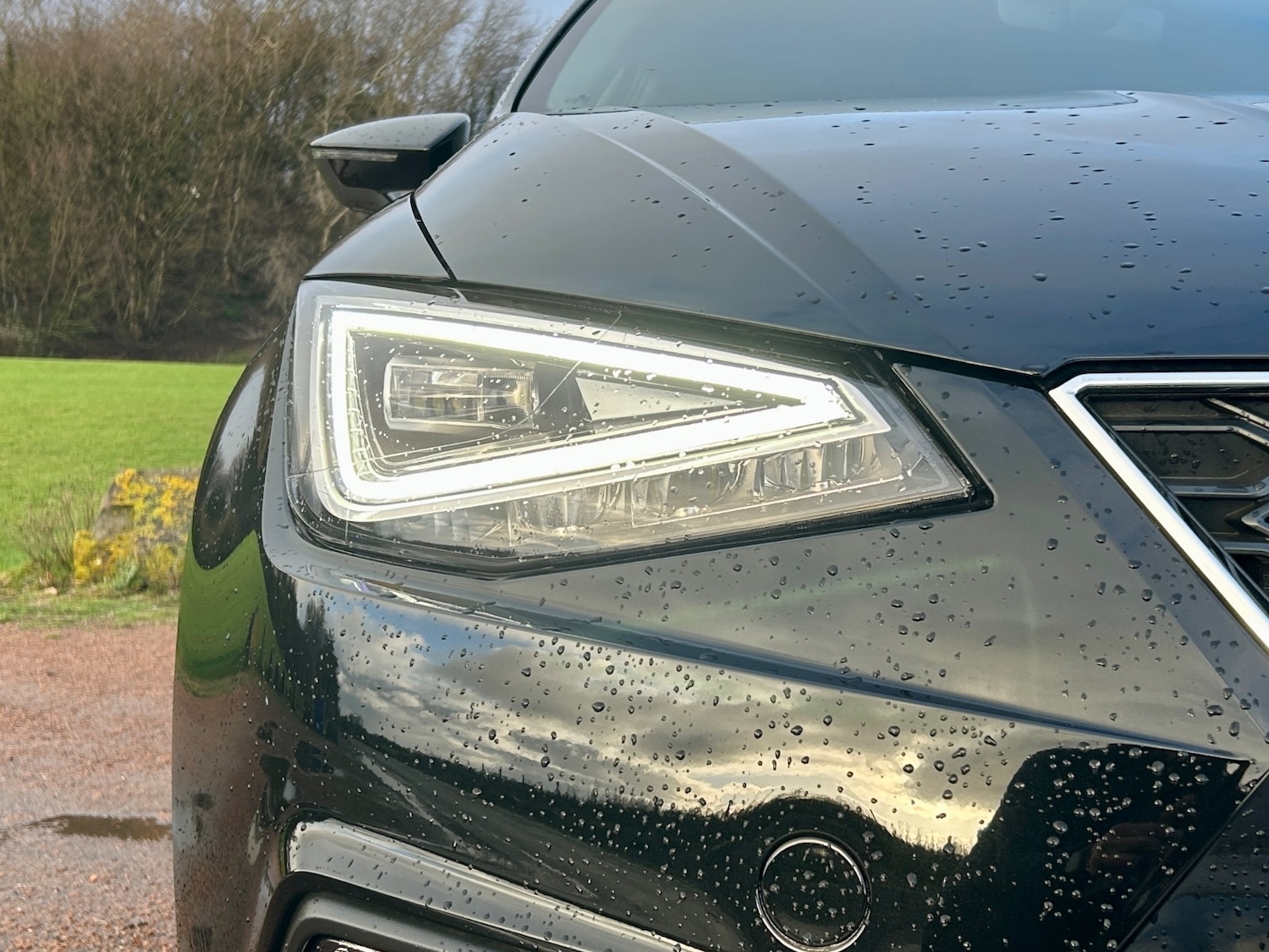 Used SEAT Ibiza 2025 for sale - 77032563: Photo 5