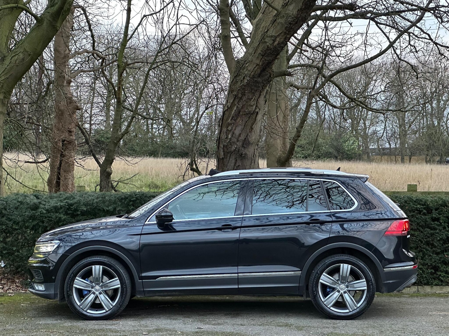 Used Volkswagen Tiguan 2016 for sale - 77029219: Photo 5