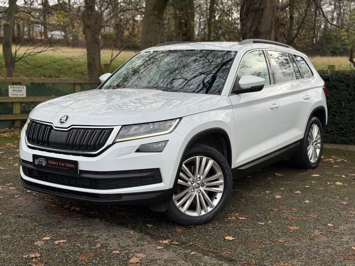 Used Skoda Kodiaq 2017 for sale - 76992149: Photo 3
