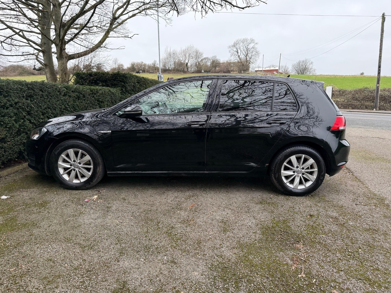 Used Volkswagen Golf 2014 for sale - 77060313: Photo 9