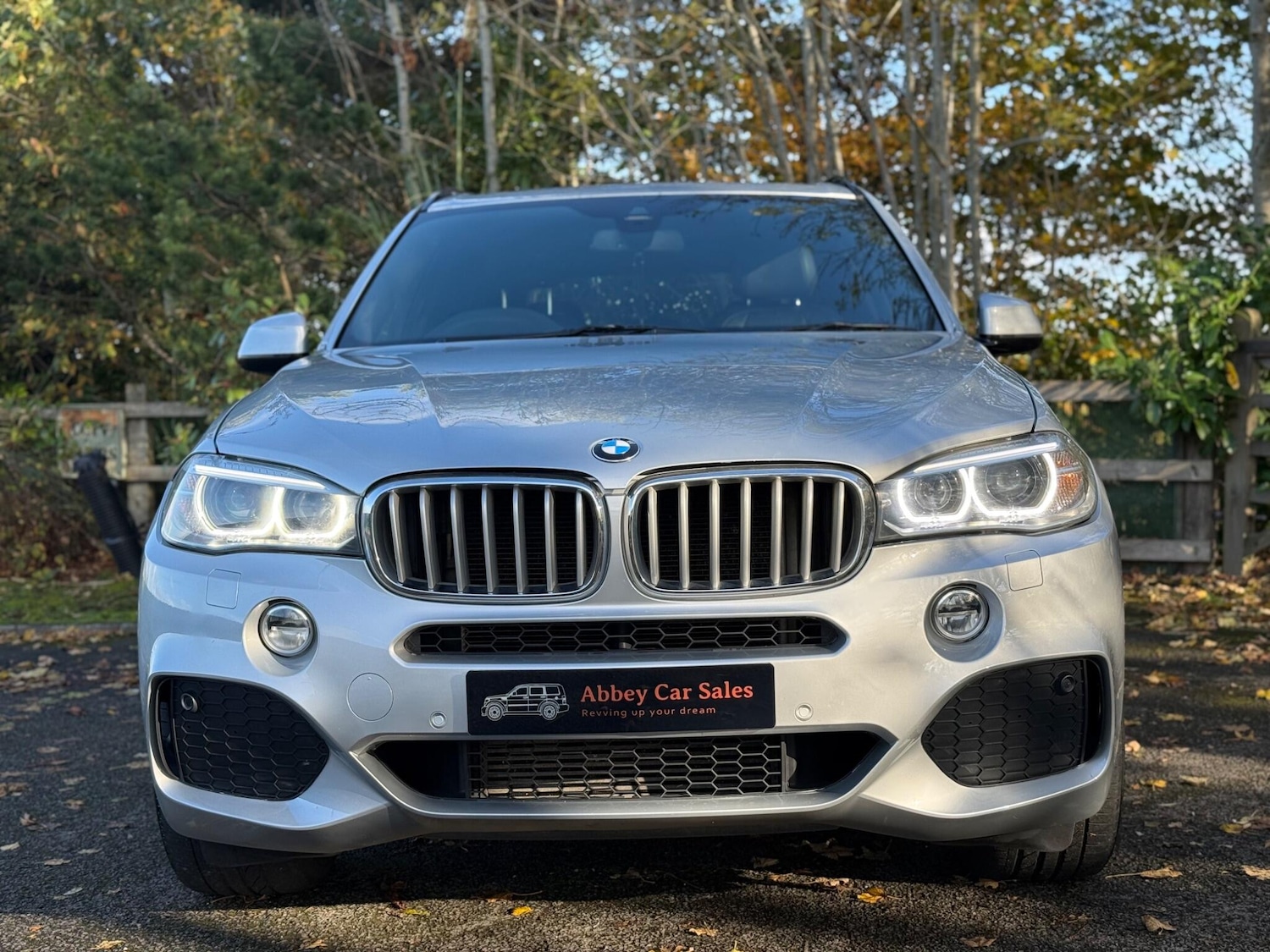 Used BMW X5 for sale - 76995989: Photo 2