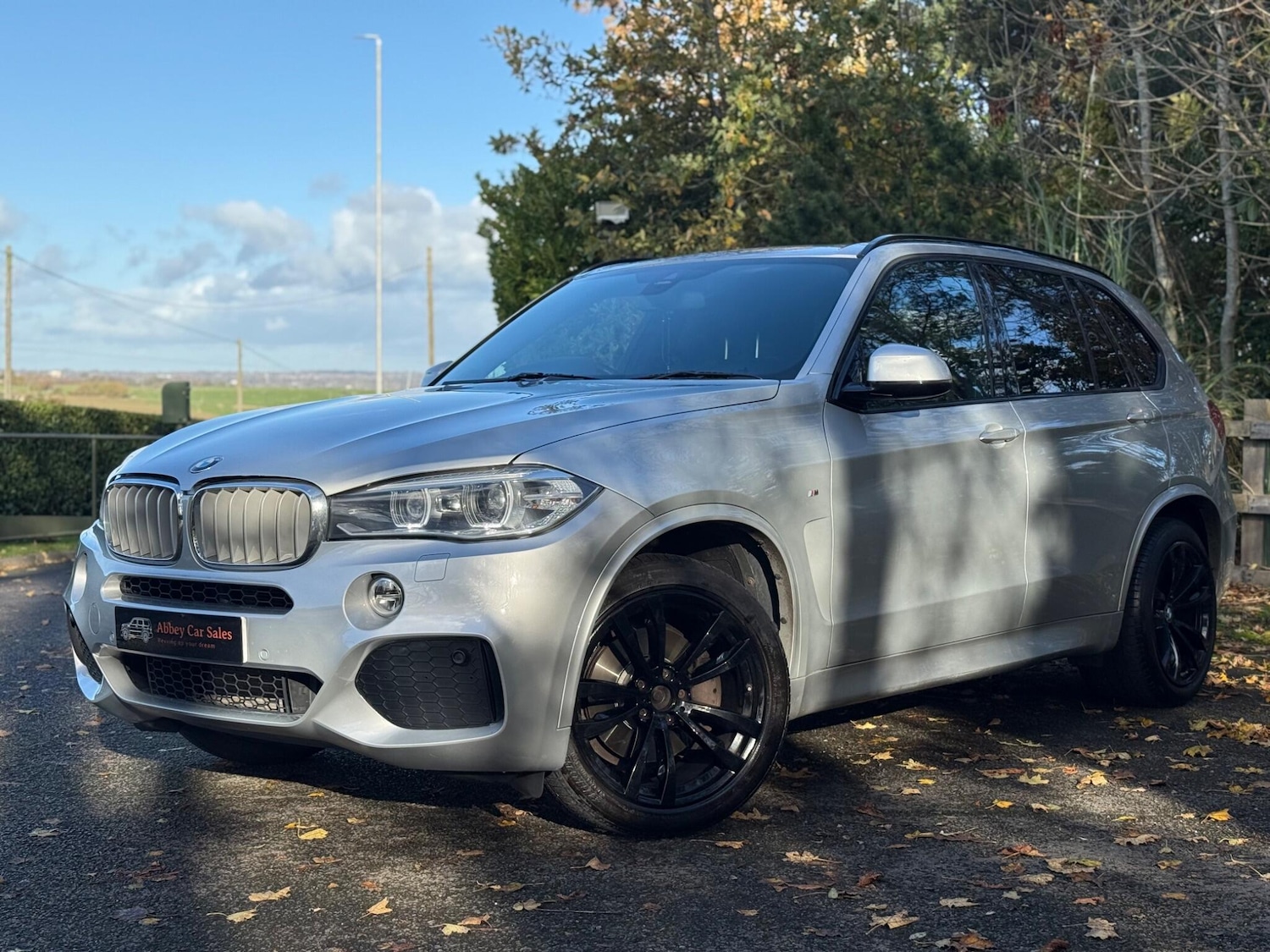 Used BMW X5 for sale - 76995989: Photo 3