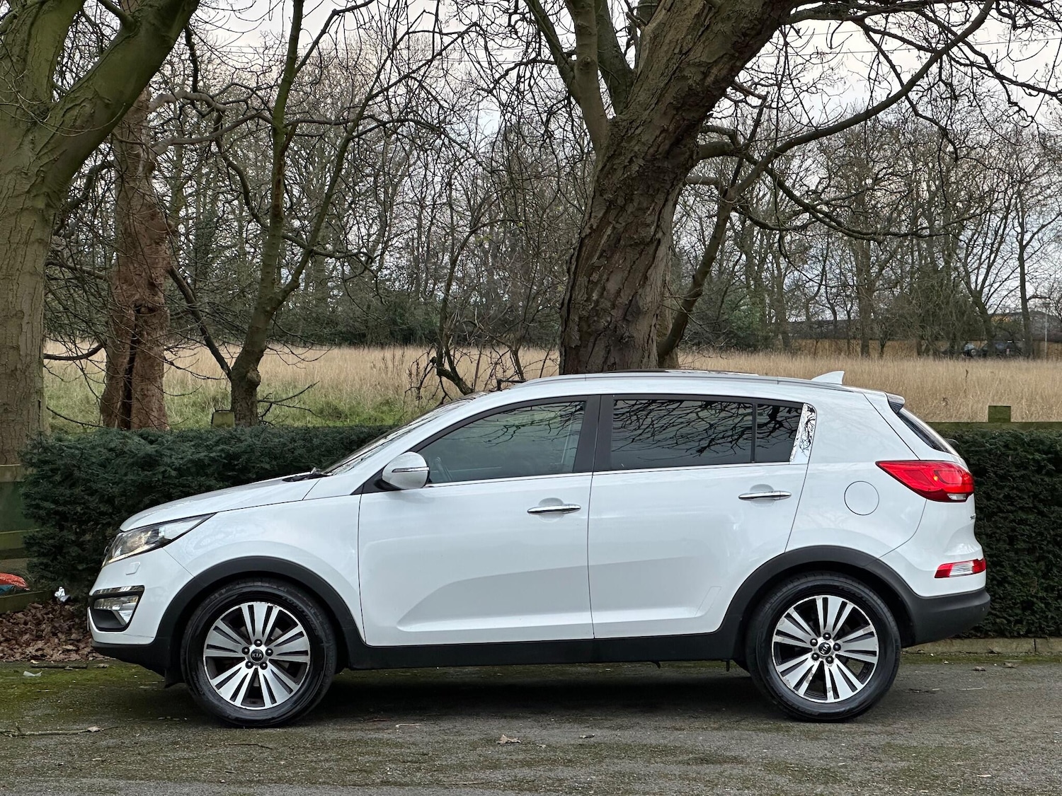 Used Kia Sportage 2015 for sale - 77052499: Photo 5