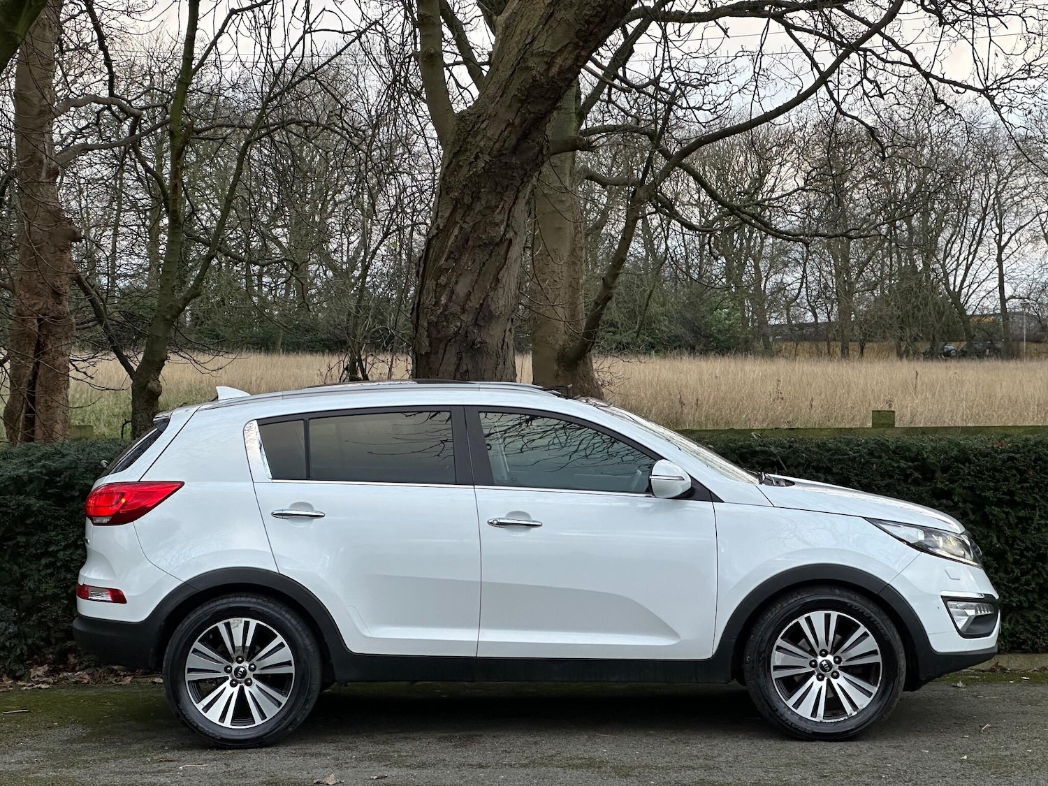 Used Kia Sportage 2015 for sale - 77052499: Photo 8